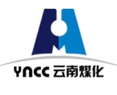 31.企业名称挂号治理划定
